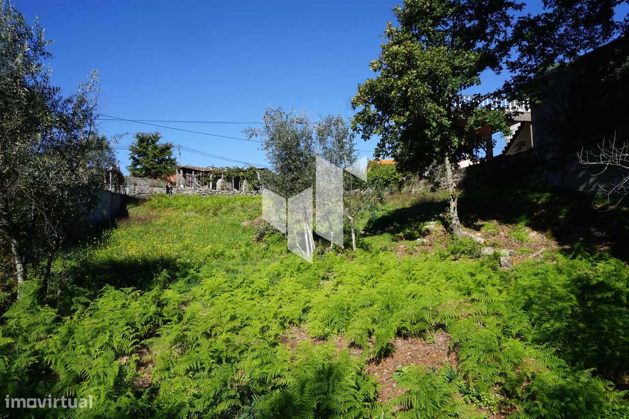Terreno Rústico  Venda em Calde,Viseu - Grande imagem: 4/6