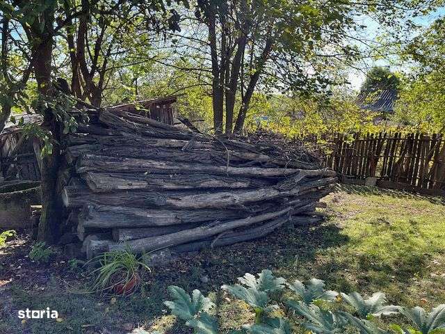 Casa veche cu teren generos in com. Rosiile, Jud. Valcea-6