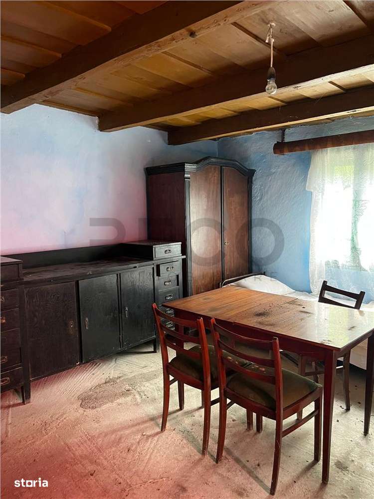 RECO Casa batraneasca cu teren generos la Lupoaia -Holod - Imagine principală: 5/20