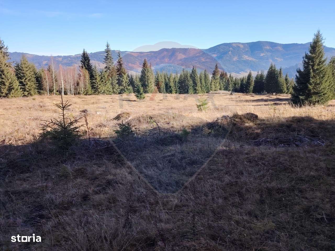 Teren 16,289mp Coverca / Drumul Bucinis-9