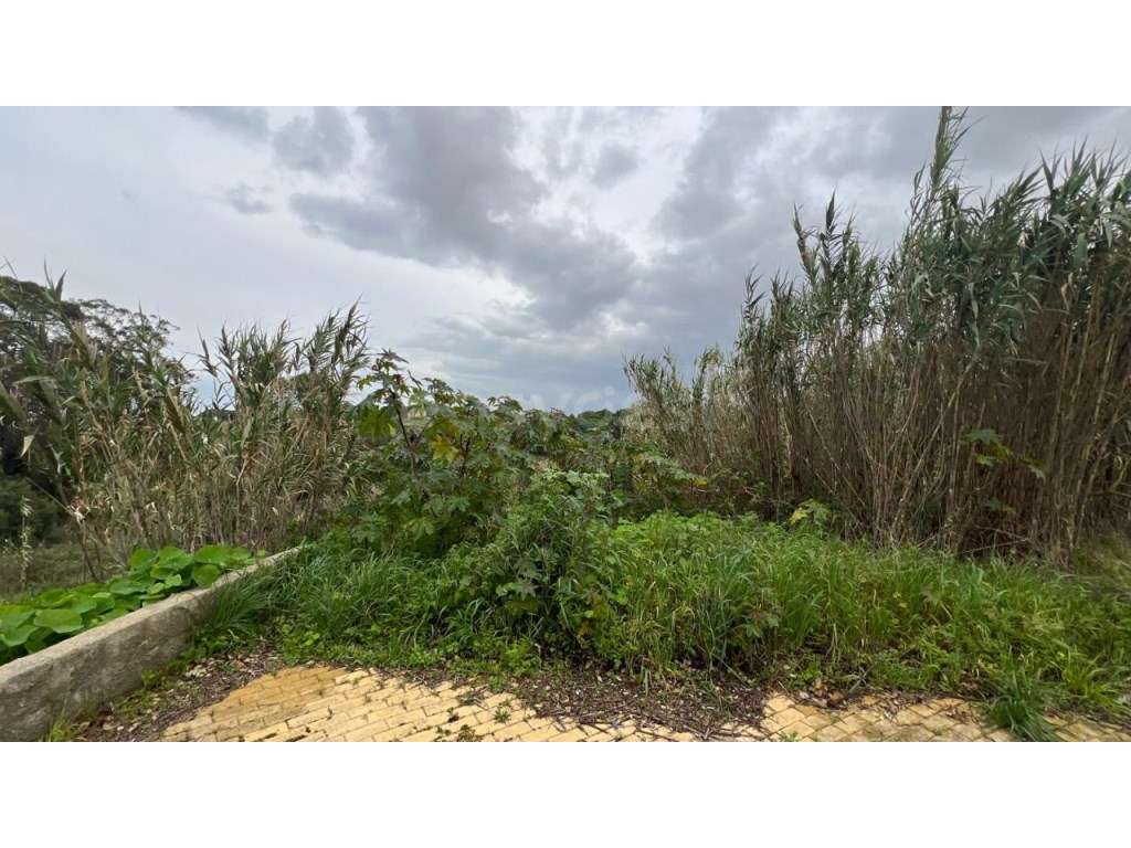 Terreno urbano para construção moradia isolada a 5 min das praias d... - Grande imagem: 4/12