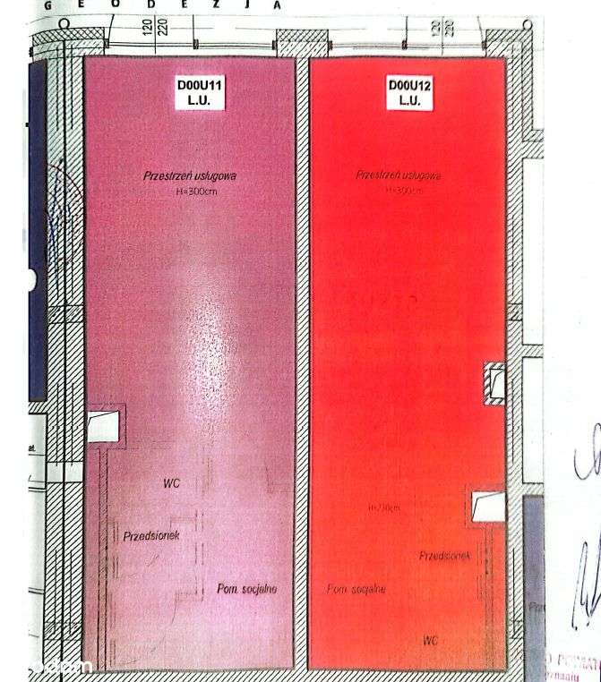 Lokal użytkowy na wynajem Kobylniki ul. Kasztanowe - Pełny obrazek: 2/12