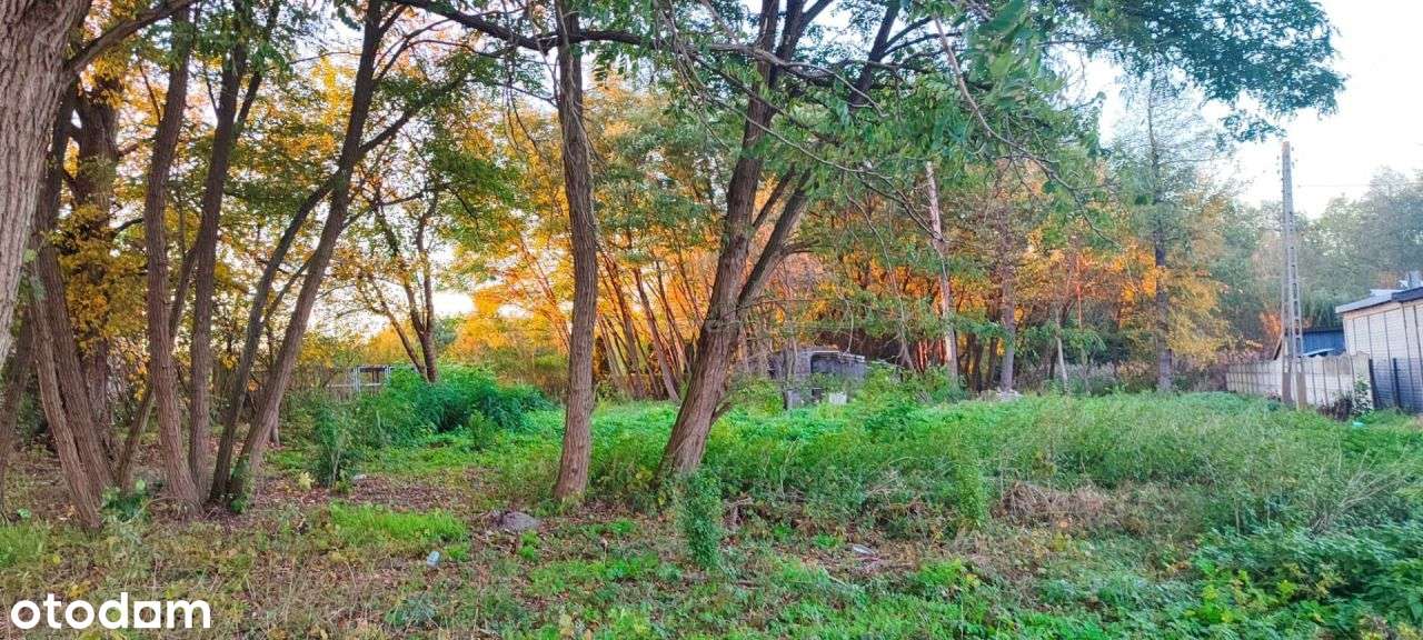 Działki budowlane z możliwym dostępem do stawu - Pełny obrazek: 4/7