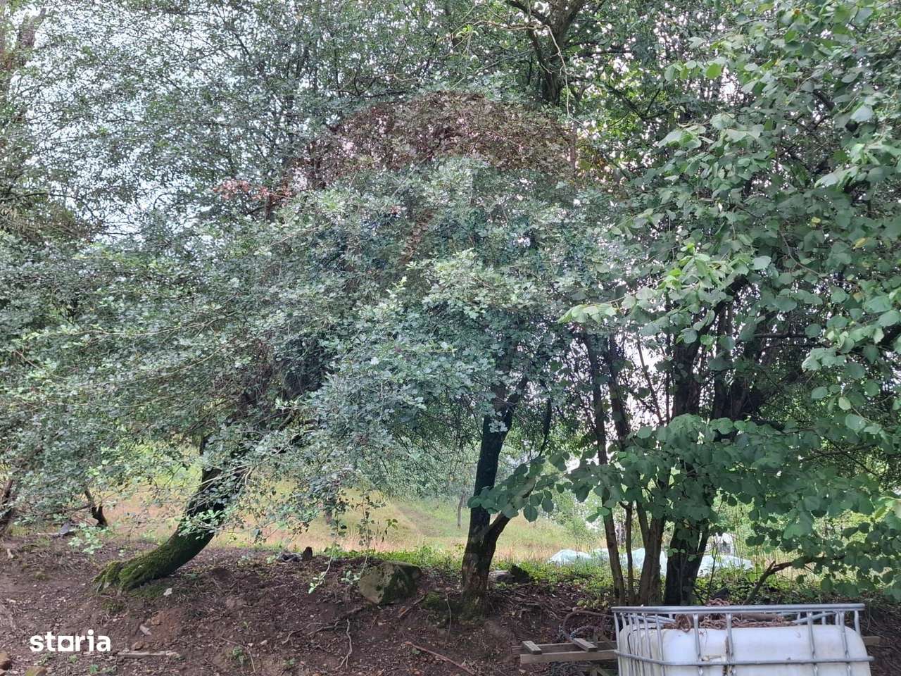 Teren de vânzare 990mp în Barzava, județul Arad - Imagine principală: 5/8