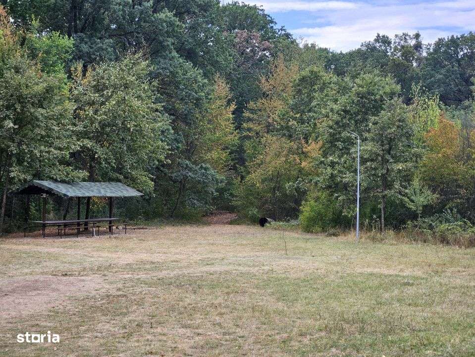 Solutii la cererea de loturi in Albota, str. Morlovani - Imagine principală: 5/9