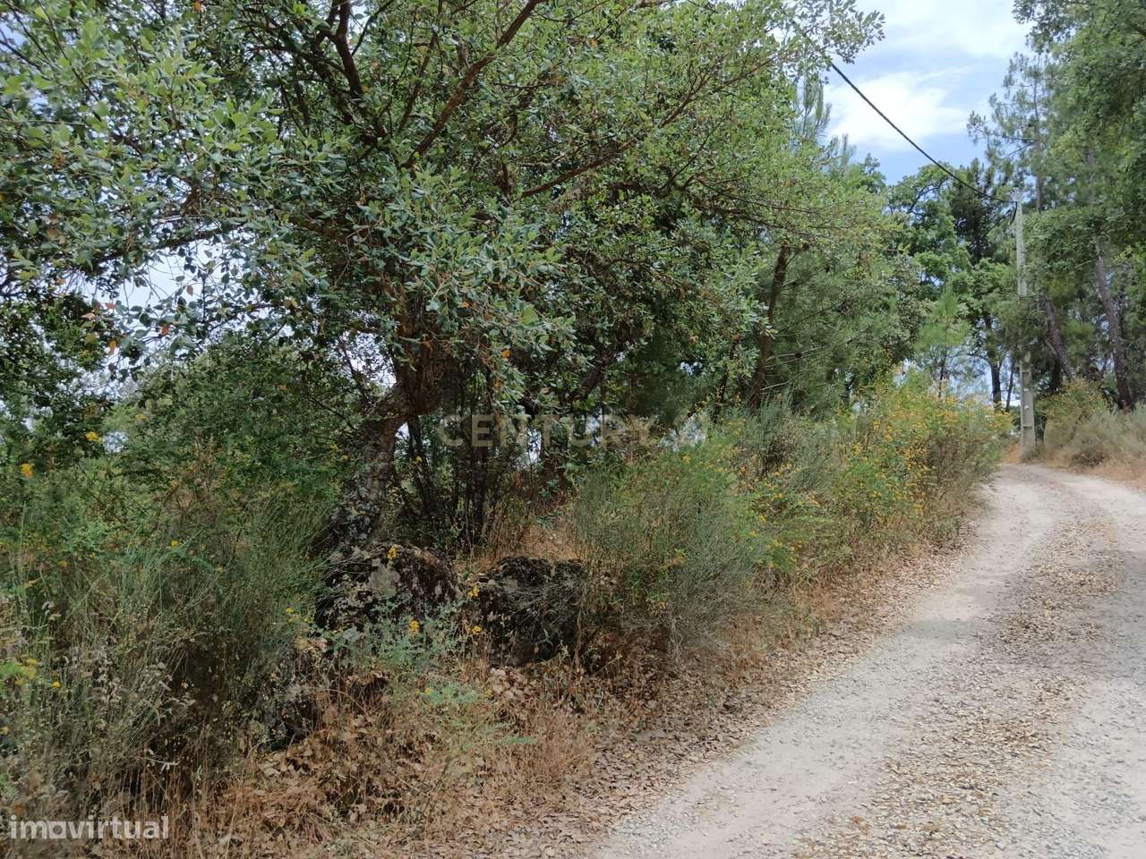 Terreno rústico, Palvarinho, Castelo Branco - Grande imagem: 5/11