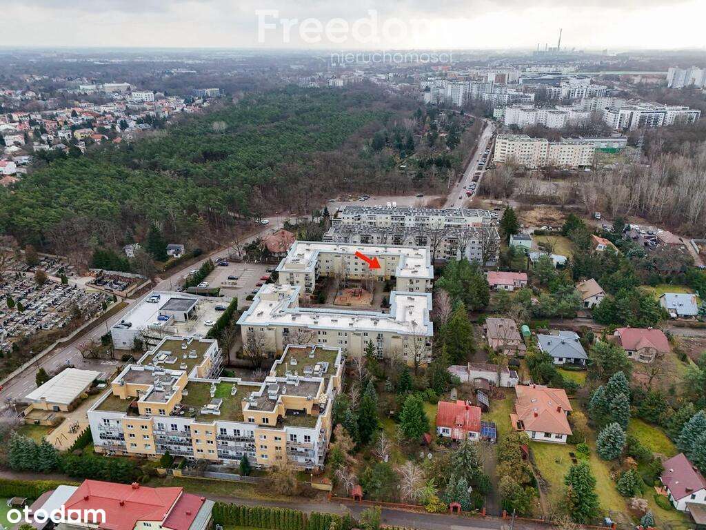 3 pokoje obok parku Wydmy Tarchomińskie Las Anecin - Pełny obrazek: 2/20