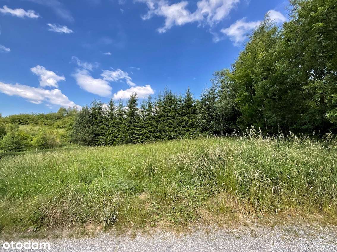 Januszowice 8,5 ar budowlane, media-6