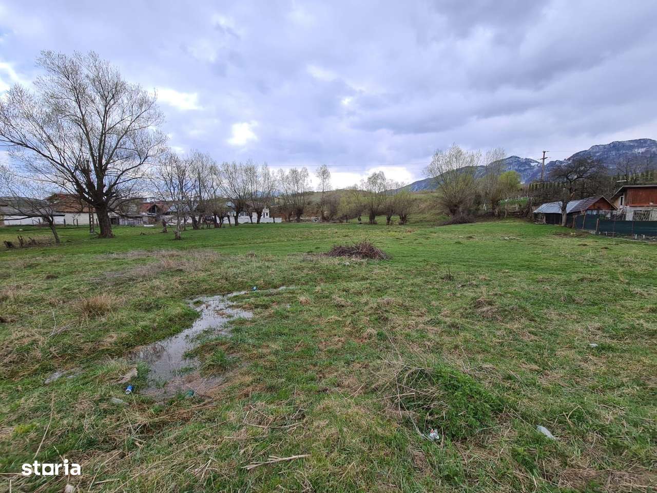 Teren Intravilan Tohanita - Imagine principală: 4/8