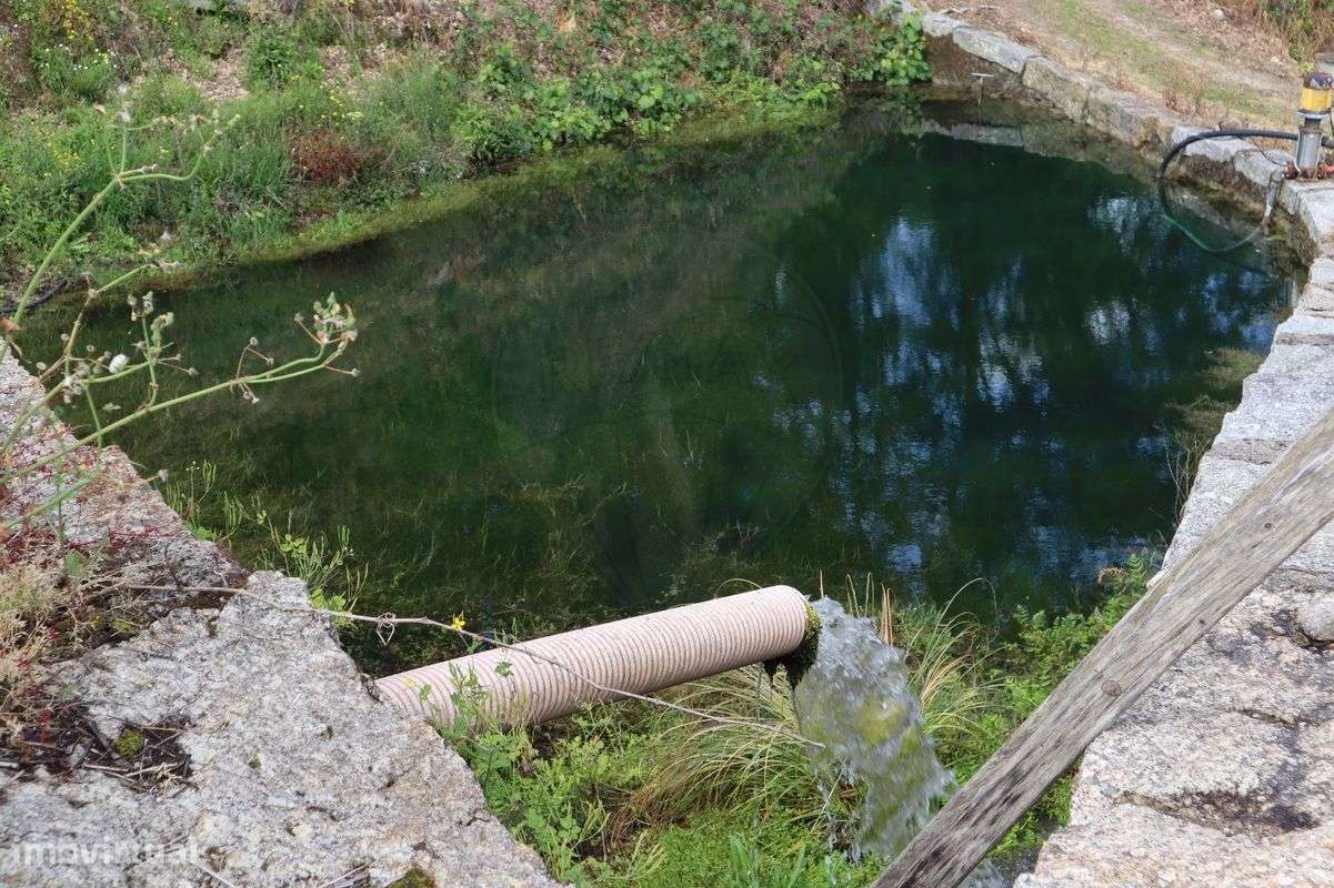 Quinta T7 para venda-23