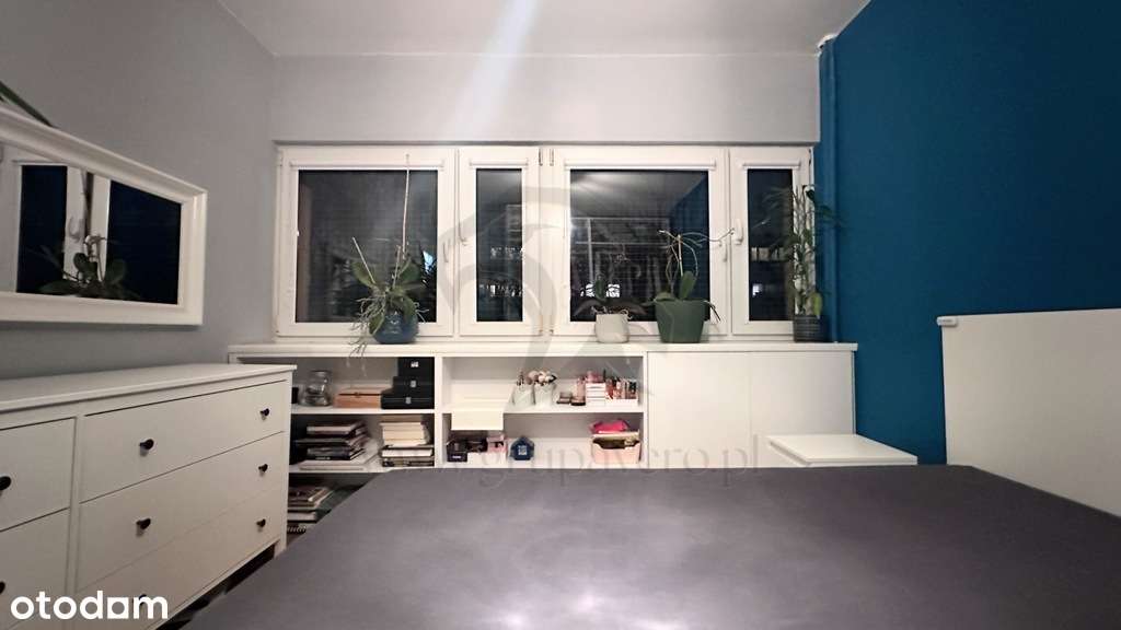 Mieszkanie, w którym kot jest prezesem-8