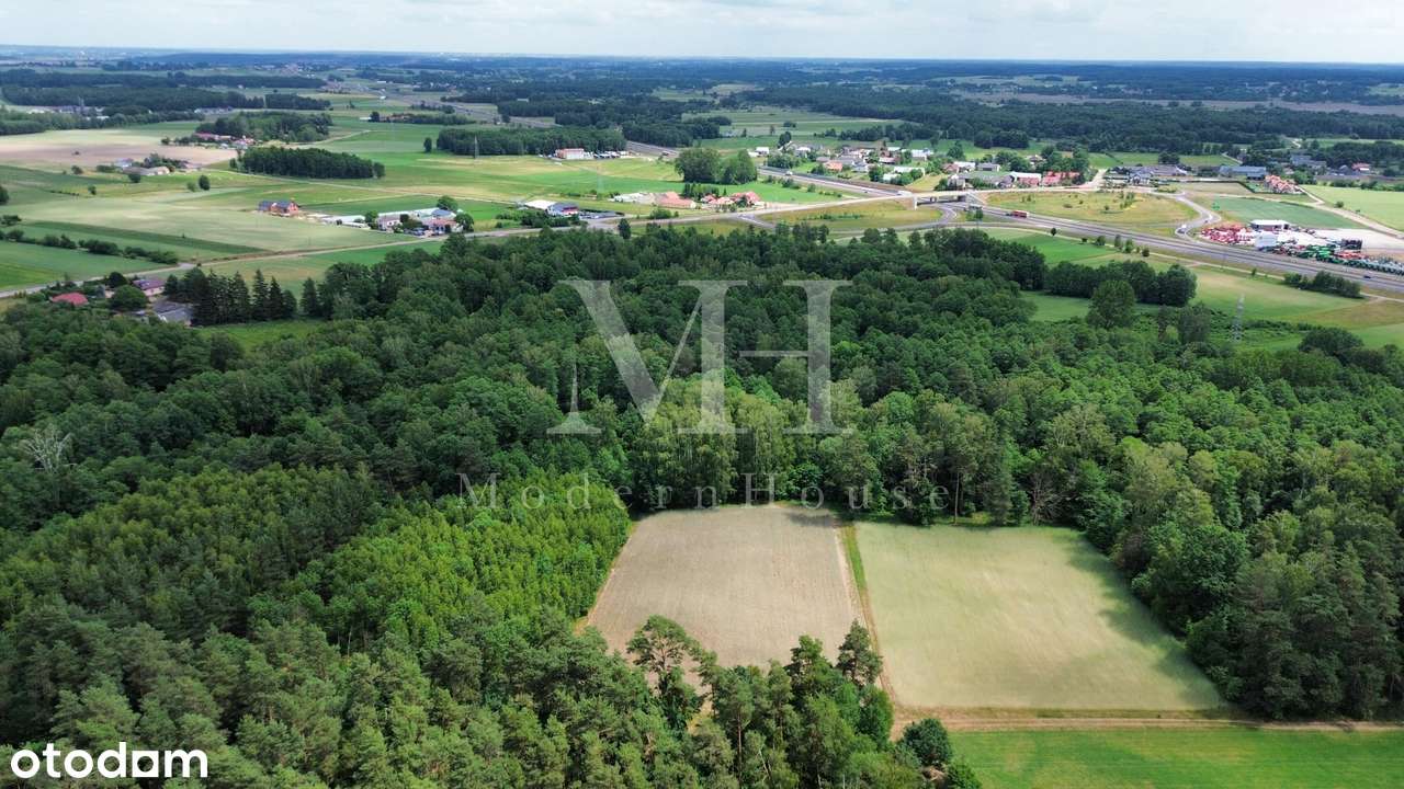 Działka  rolno leśna z warunkami zabudowy obok S8 - Pełny obrazek: 4/6