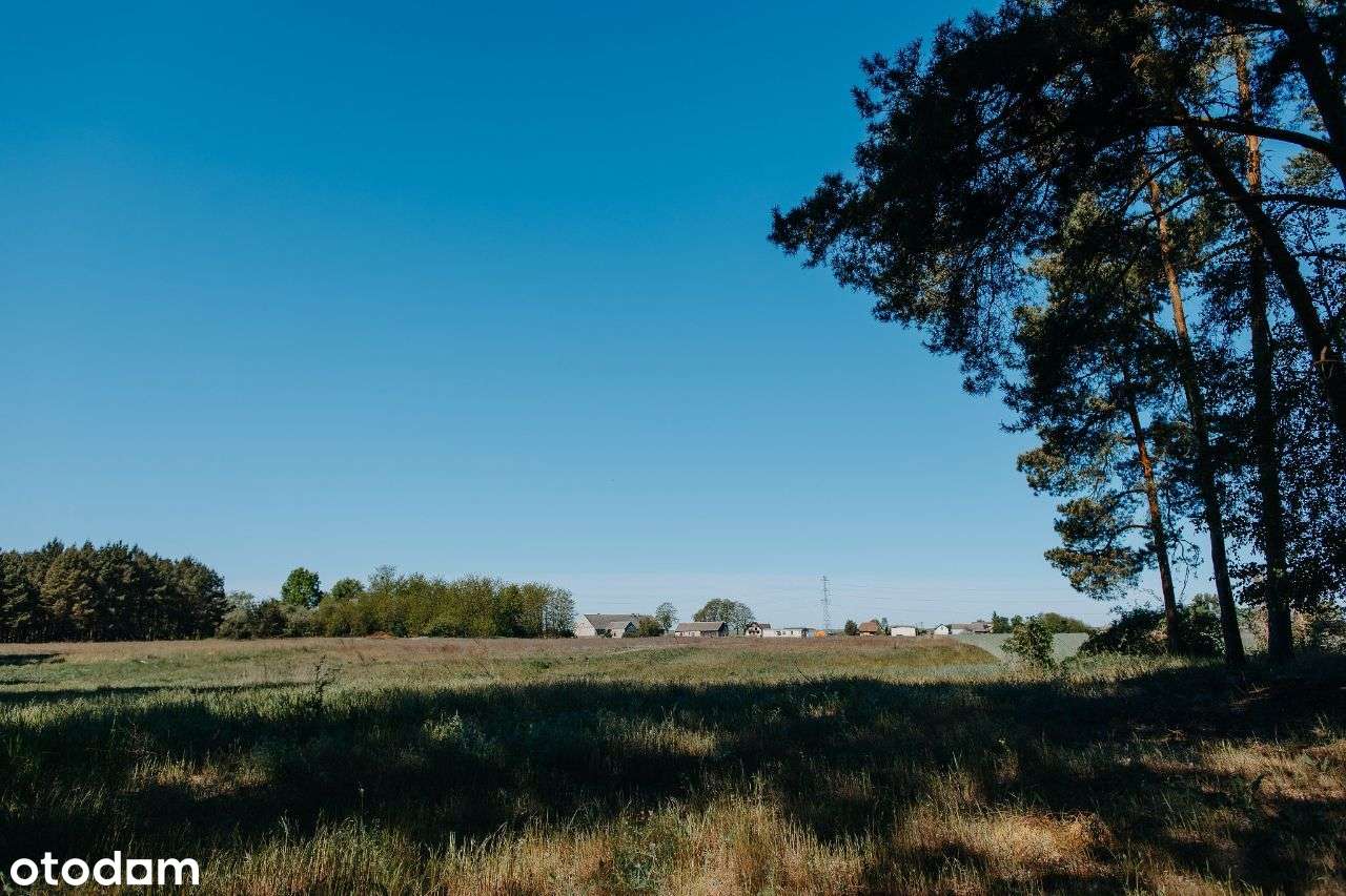 Działka rekreacyjna przy Kanale Gopło - Pełny obrazek: 5/6