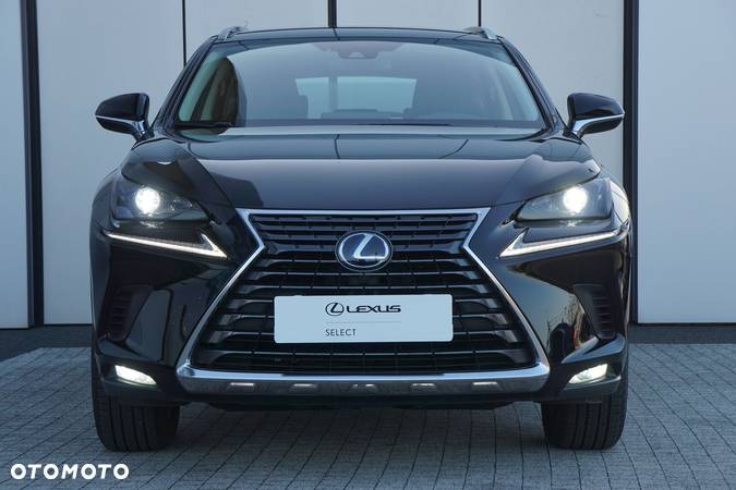 Lexus NX - 5