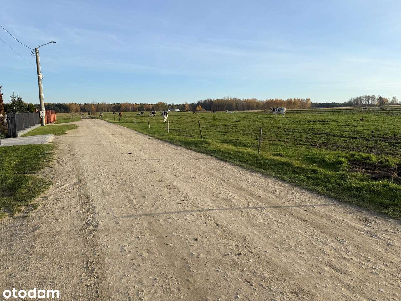 Działka budowlana-inwestycyjna, 75.88 arów - Krasocin. - Pełny obrazek: 5/10