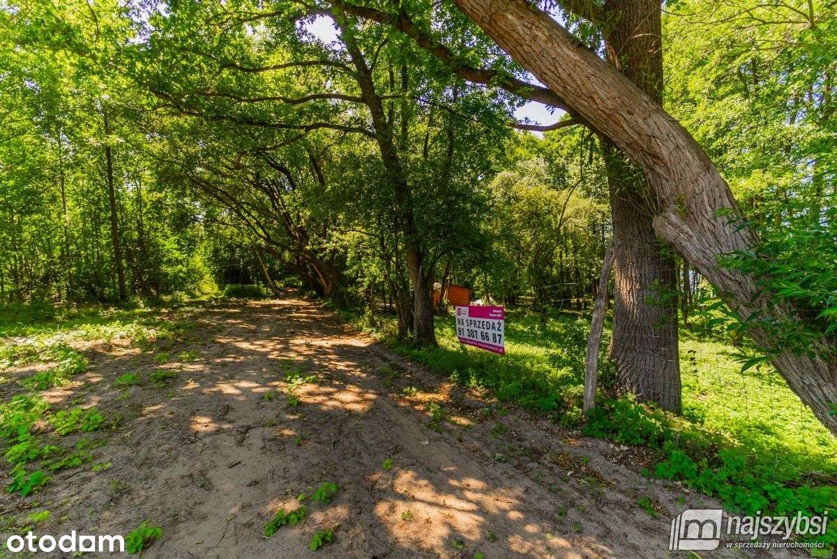 Domysłów -działka z linią brzegową 53m z Wz - Pełny obrazek: 2/17