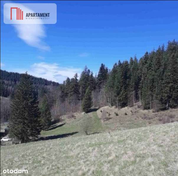 Teren niezalewowy w górach-działki 2000mkw - Pełny obrazek: 4/10
