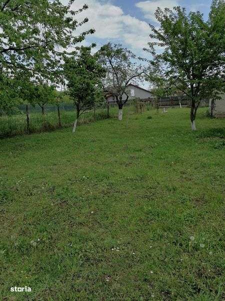 Teren de vanzare Prahova, Campina, Brebu - Imagine principală: 4/8