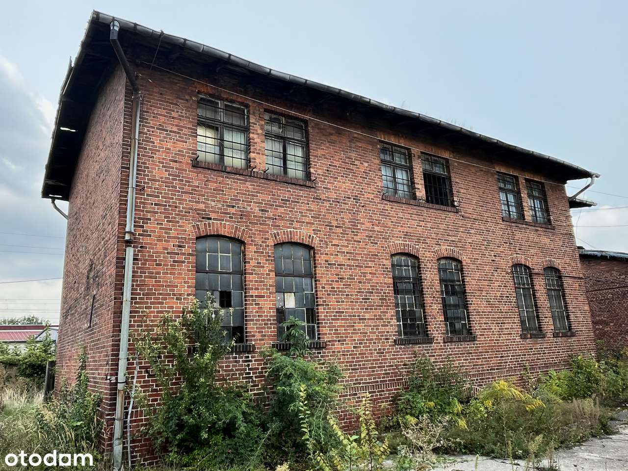 Hale magazynowe Opole Śródmieście 334 m² - 1954 m²-1