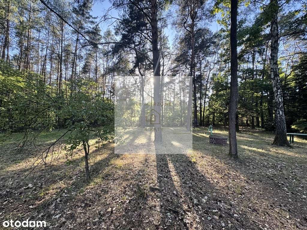 Piękna, zalesiona działka z domem - Pełny obrazek: 5/5