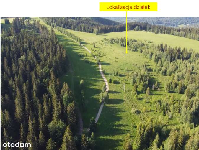 Widokowe działki budowlane w masywie Śnieżnika-narty i MTB Czarna Góra - Pełny obrazek: 2/13