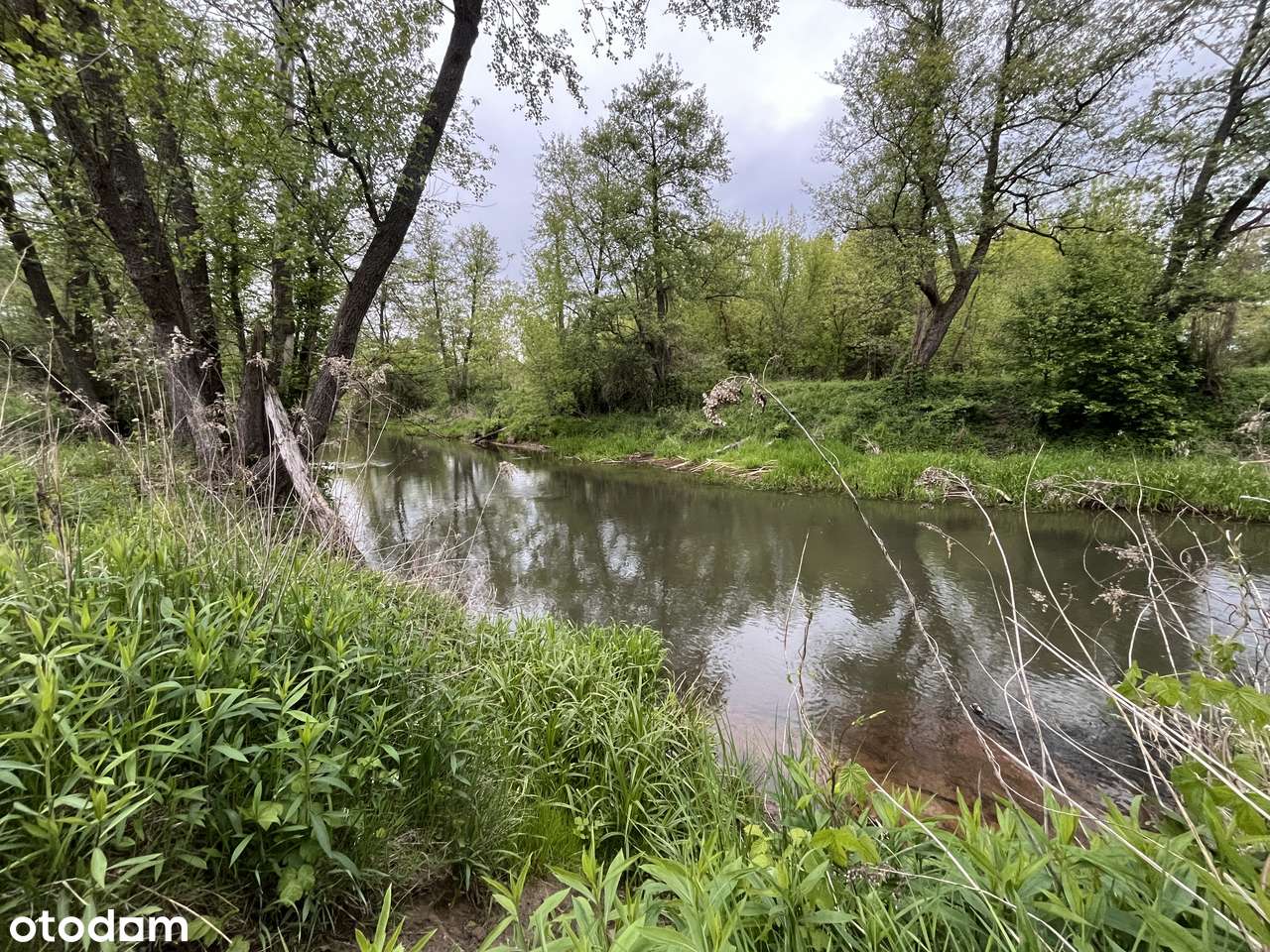 Malownicza działka z linią brzegową Świdra-0