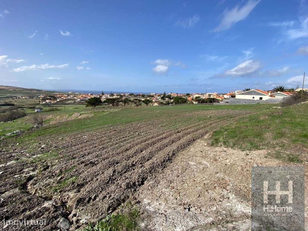Lote de Terreno com 5.560 m2 na Ilha do Porto Santo - Grande imagem: 2/7