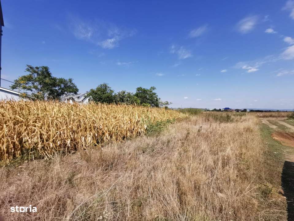 Teren intravilan de vanzare in Osorhei, 5.840 mp, cu front 3 fronturi - Imagine principală: 4/5