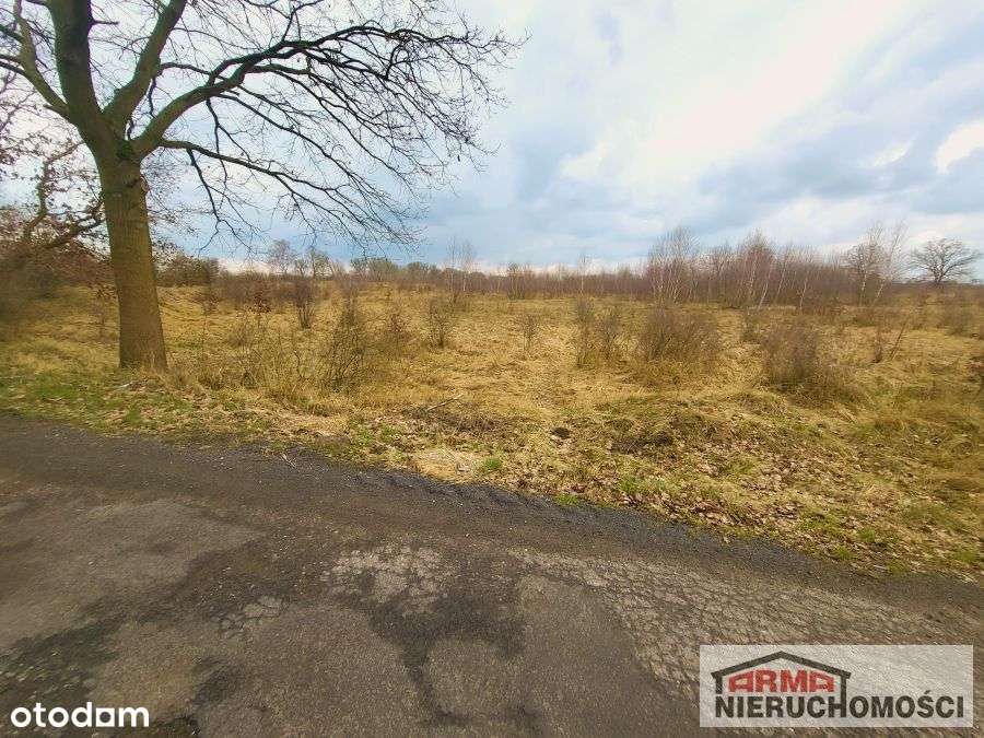 Działka Inwestycyjna - Pełny obrazek: 4/11