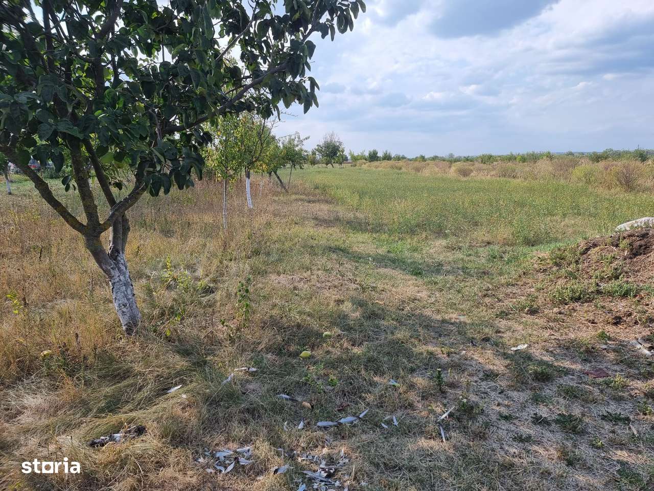 Casa in Dimoiu - Ulmi-12