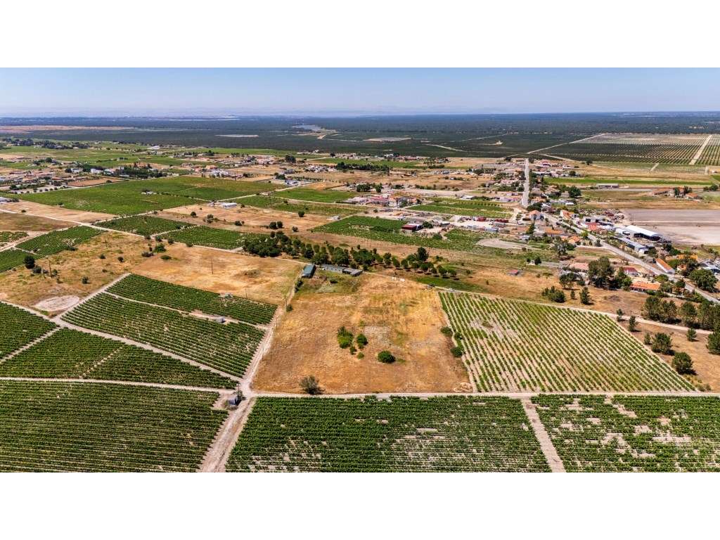 Terreno com 9.260m2 em Palmela com Potencial Construtivo (Zonamento...-3