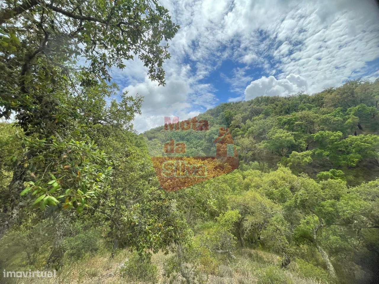 Terreno na aldeia de São Francisco da Serra-6