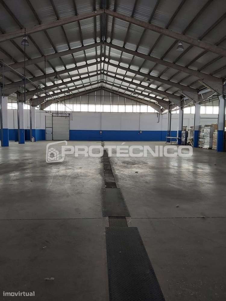 Armazém p/ Indústria – Águeda - Grande imagem: 3/13