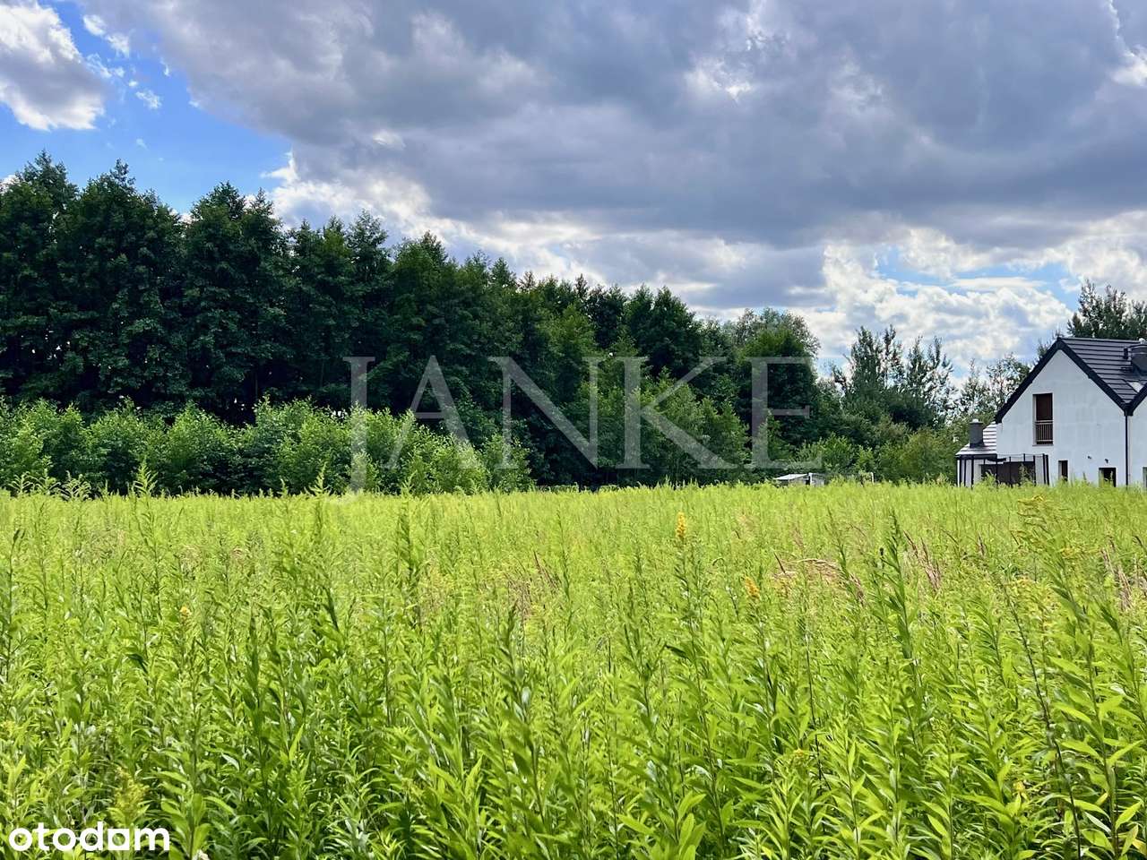 NOWA OFERTA - 268 zł/m2 - działka budowlana - MPZP -pod lasem-2