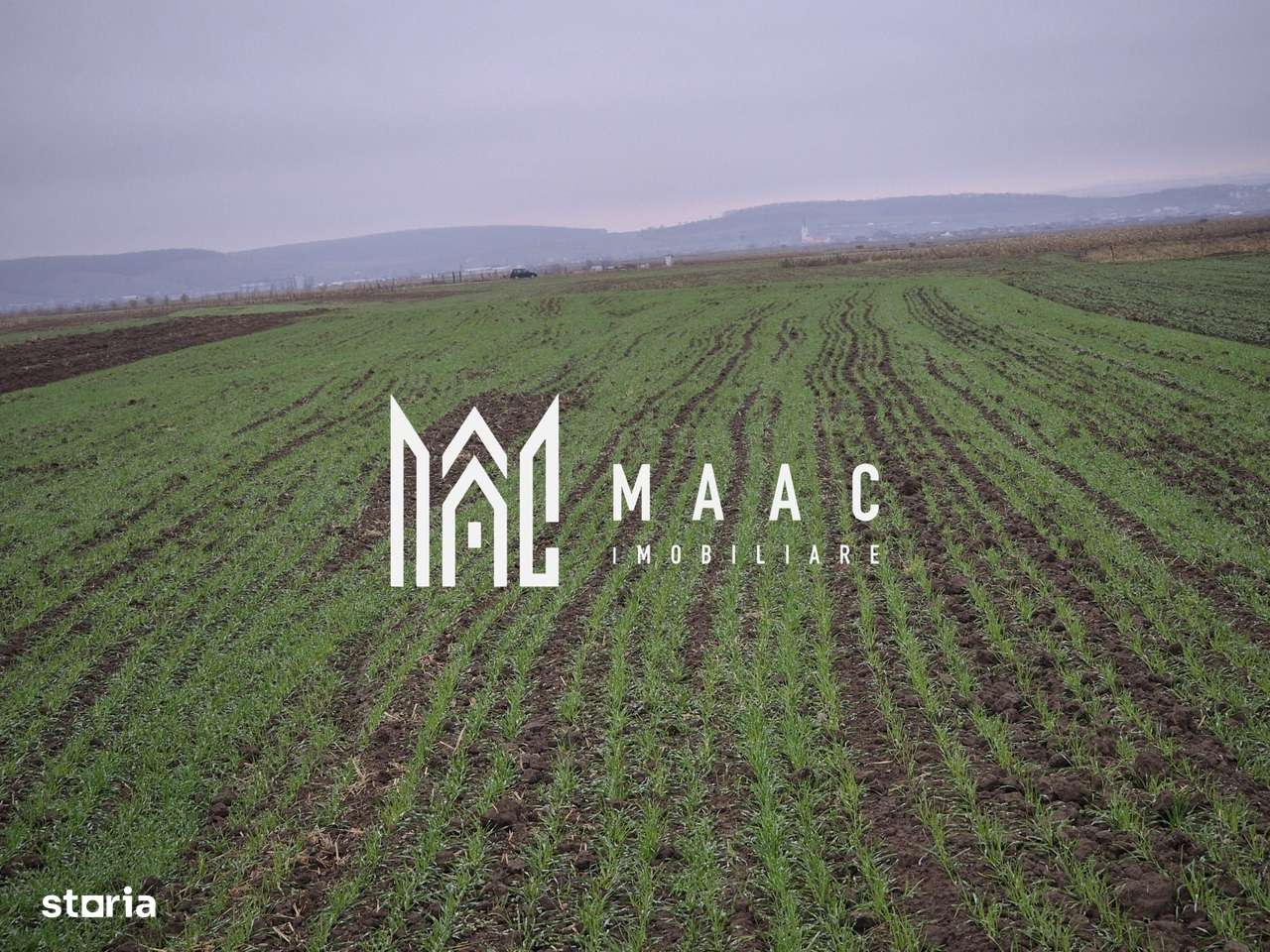 Teren extravilan | Gura raului | 2250 MP - Imagine principală: 2/3