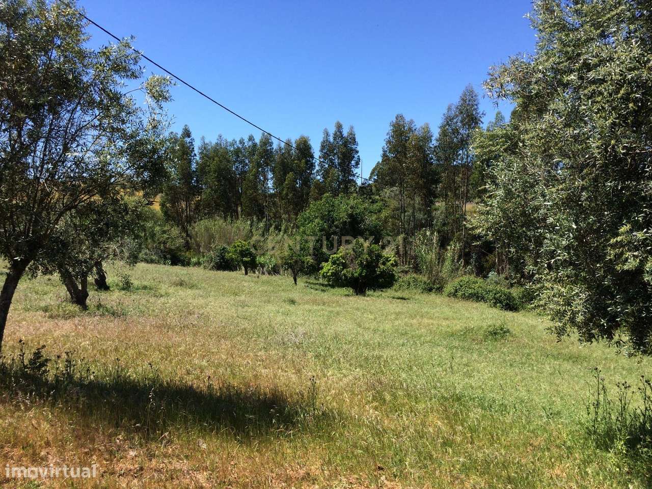 Herdade para Reconstrução em Azenha de Baixo 40 Hectares-11