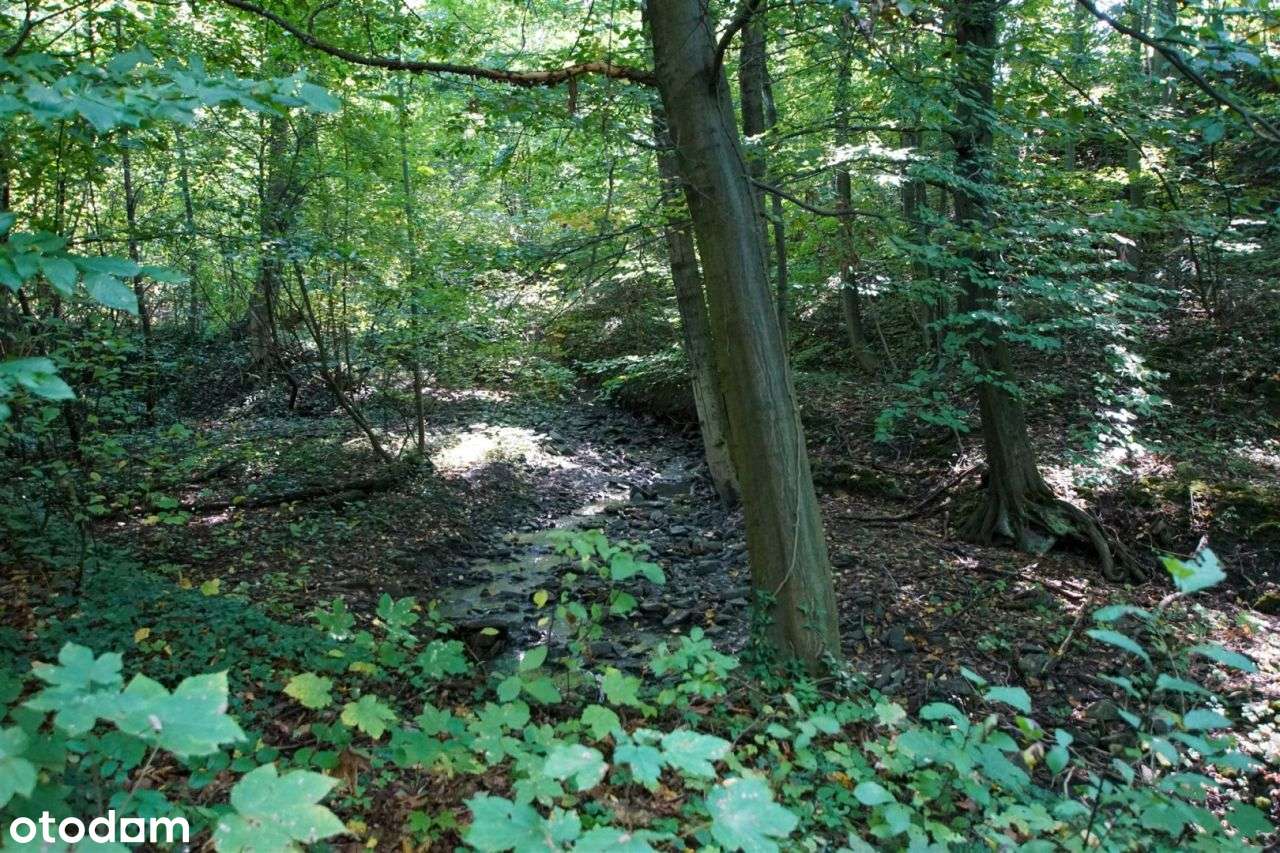 Wiśniowa dom letniskowy w górach, las,strumyk, 53a-11