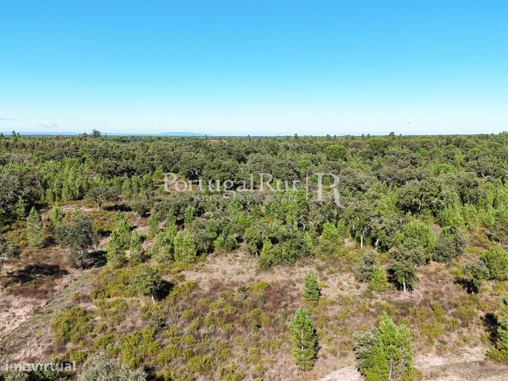 Quinta de 20ha com projeto para Turismo Rural a 1h de Lisboa-38