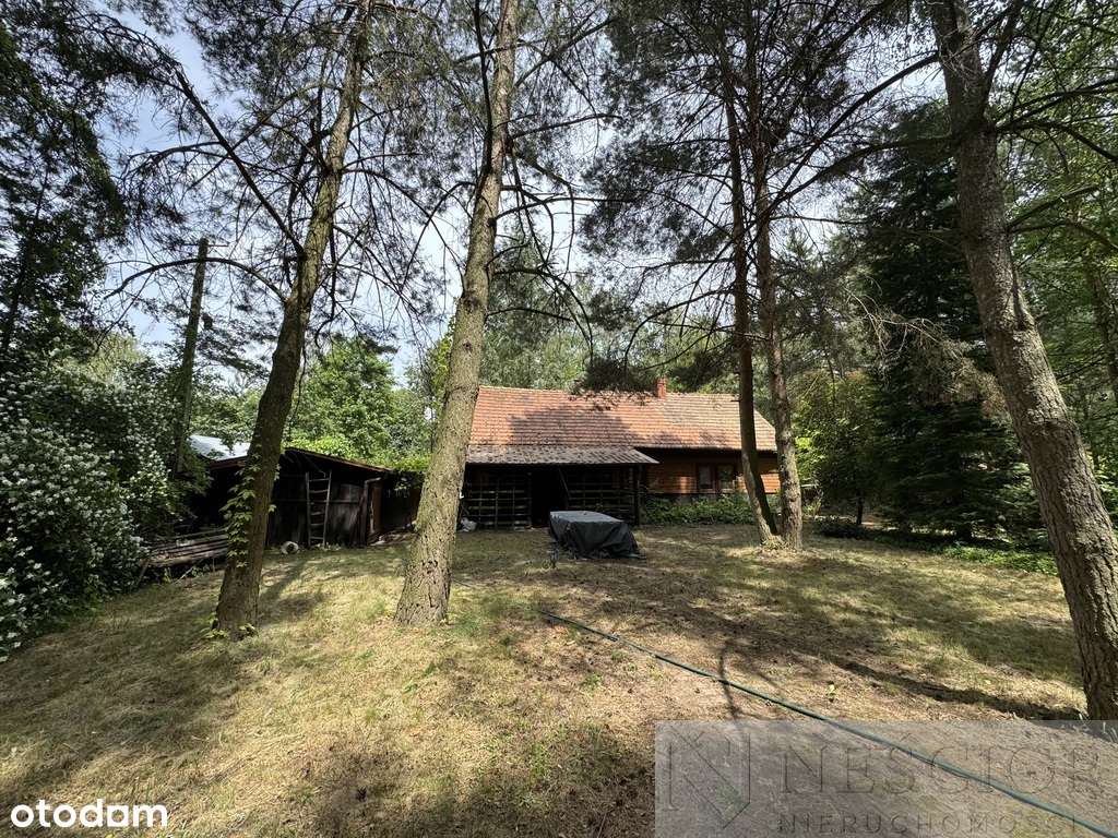 Piękne siedlisko 1645 m2 ze stawem w Błogoszczy - Pełny obrazek: 4/20