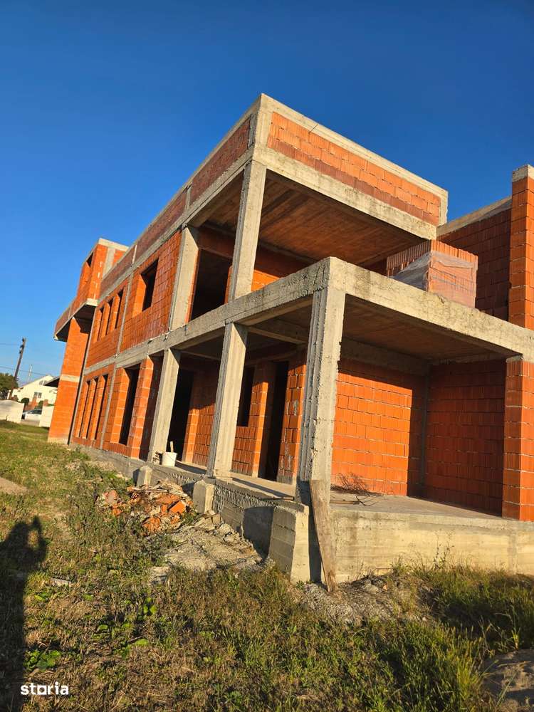 Casă la roșu în Viile Satu Mare-0