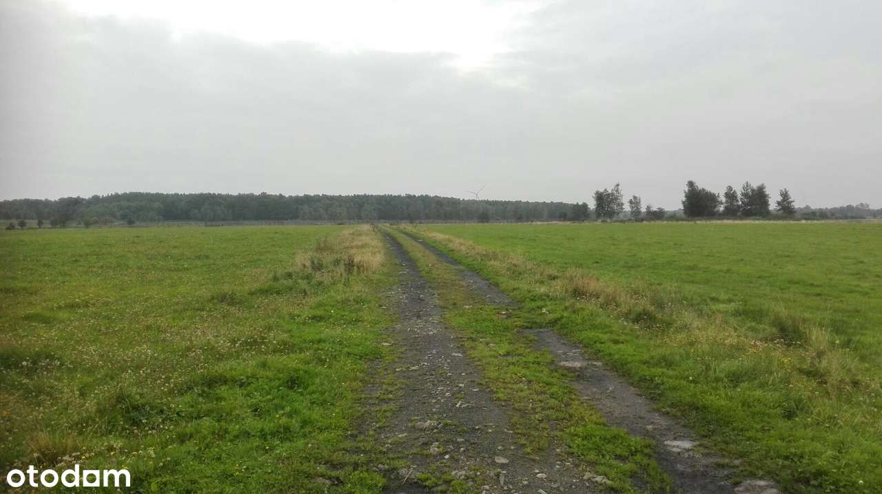Darłowo/ Krupy dojazd asfaltowy , dojazd do morza, Darłowa 10 minut-2
