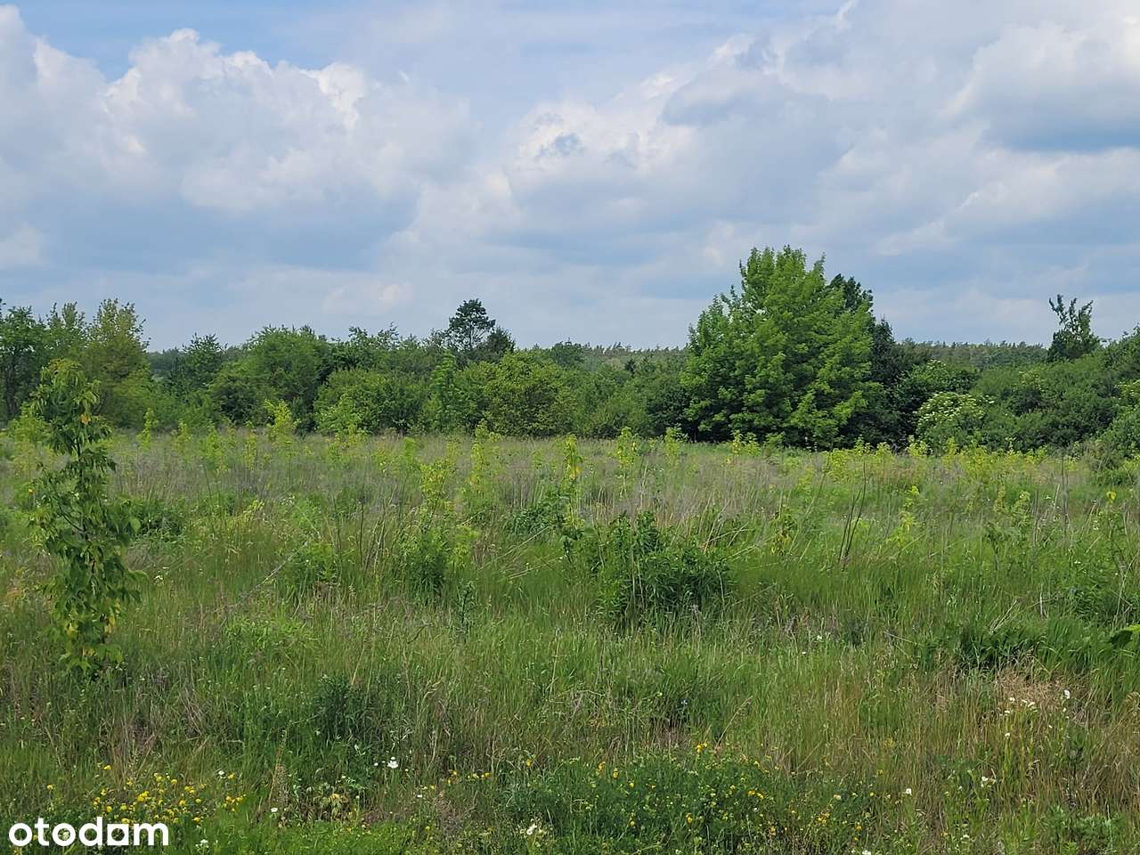 działka inwestycyjna na Krywlanach (podstrefa Białystok SSSE) - Pełny obrazek: 4/5