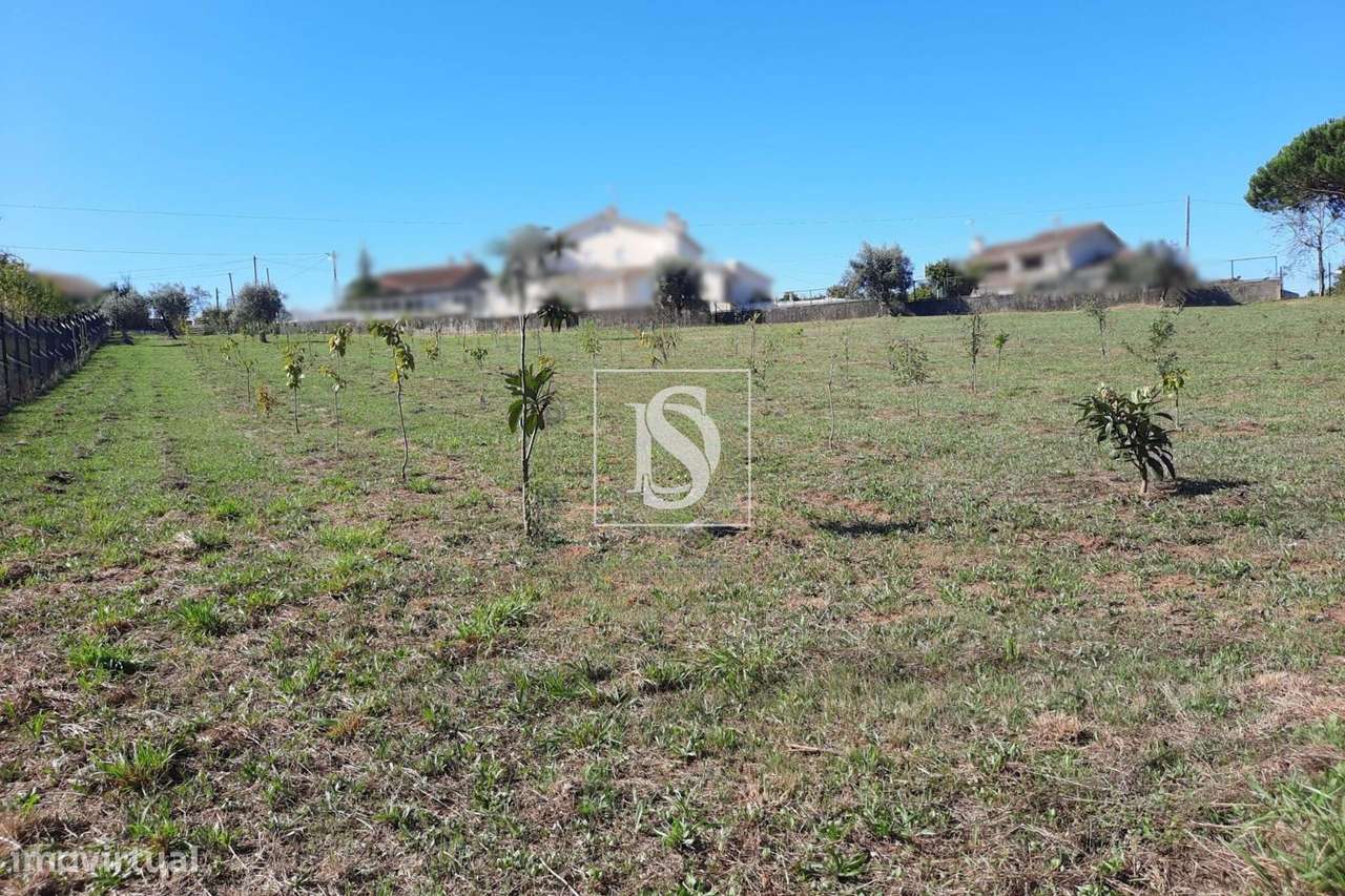 Terreno junto Zona Industrial Mortágua - Grande imagem: 3/5