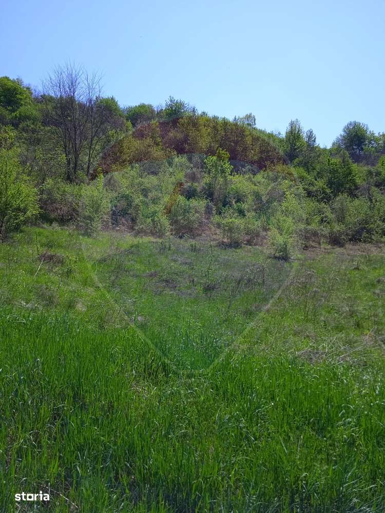 Teren intravilan de vânzare – Hula Baznei, 800 mp - Imagine principală: 4/5