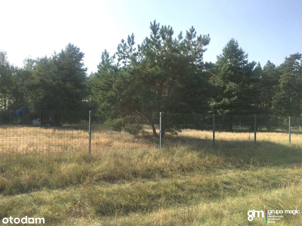 Działka 1250m2 Osiek Wielki Las - warunki zabudowy - Pełny obrazek: 5/6