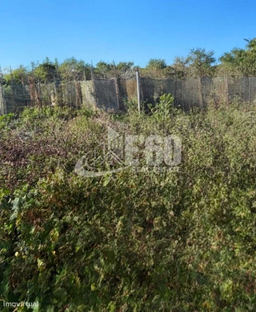 MORADIA TÉRREA COM 4 FRENTES E TERRENO DE 2.375M2 PARAMOS-18