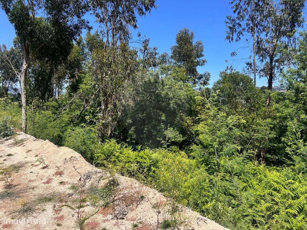 Terreno  para venda - Grande imagem: 4/6