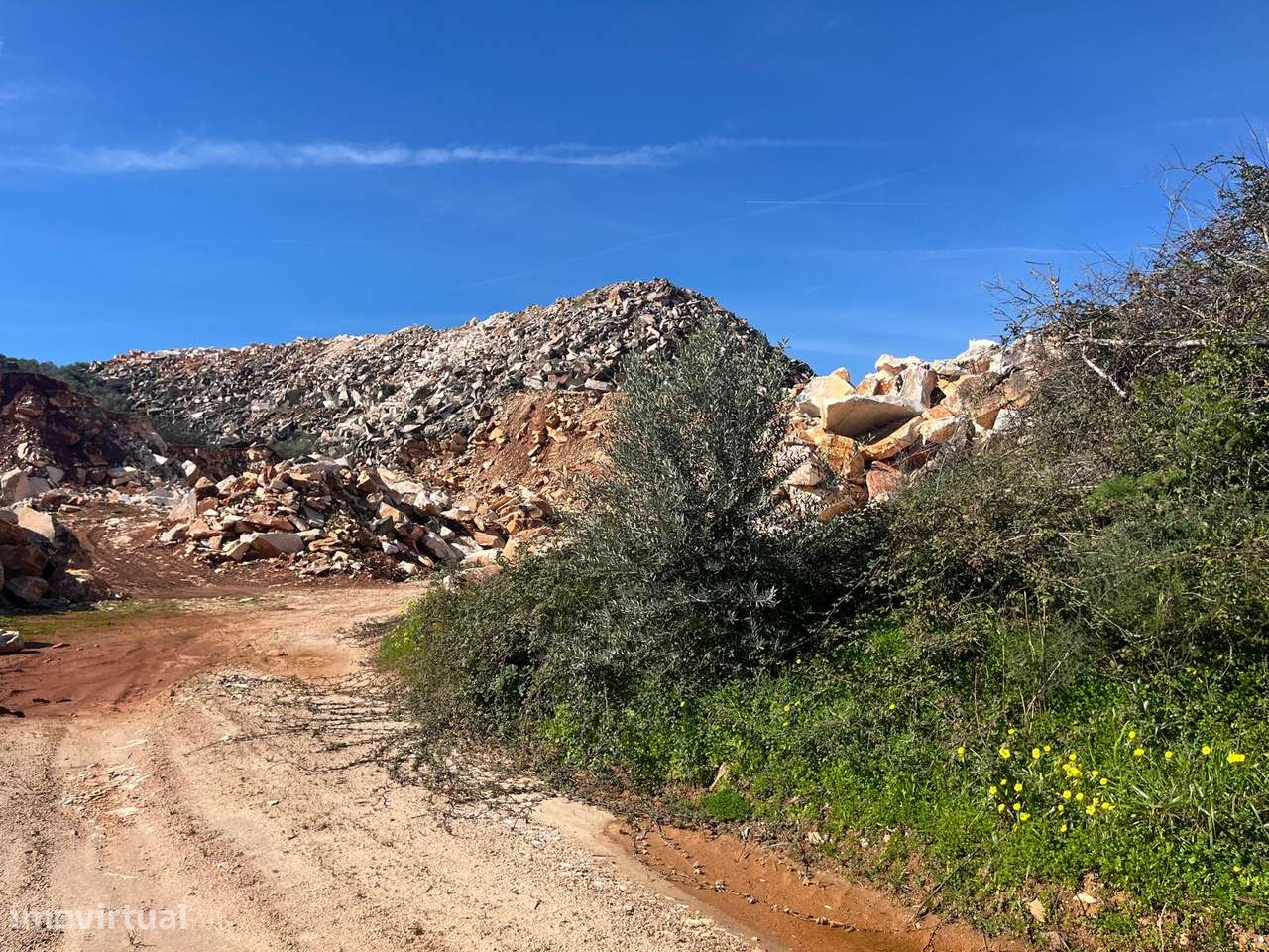 PEDREIRA | OLIVAL | VENDA | BORBA-16