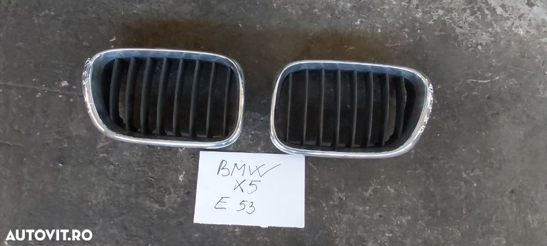 Grila capota motor/ radiator BMW X5/E53 - 1