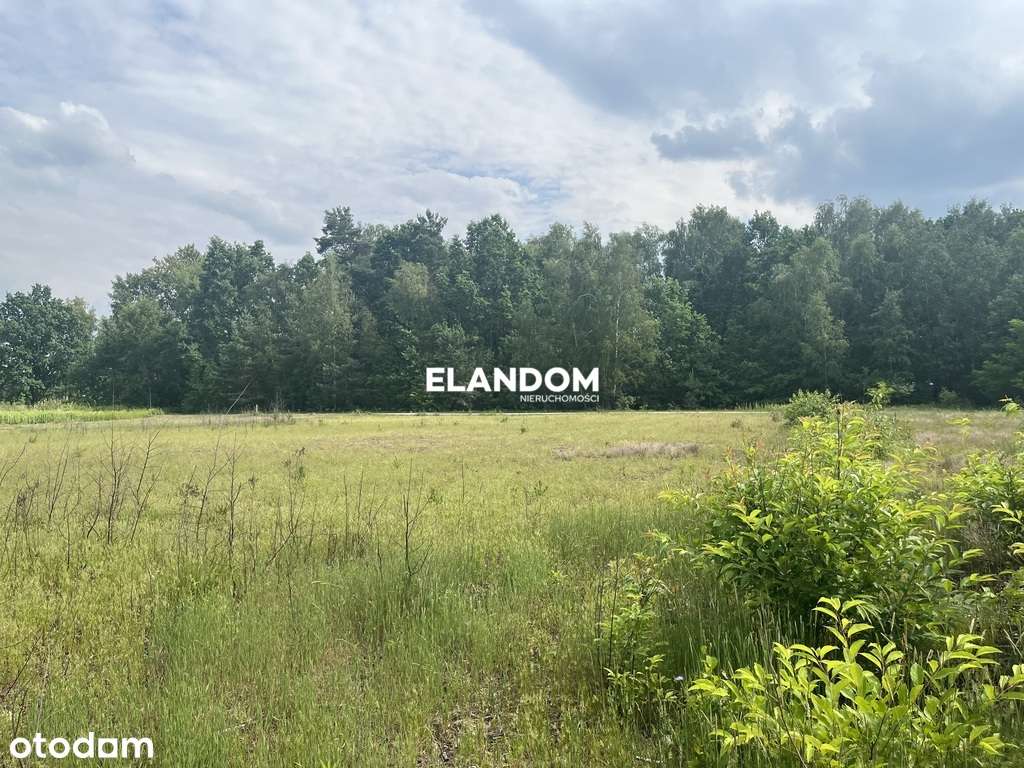 Działka pod inwestycję przy S17 - Pełny obrazek: 2/4